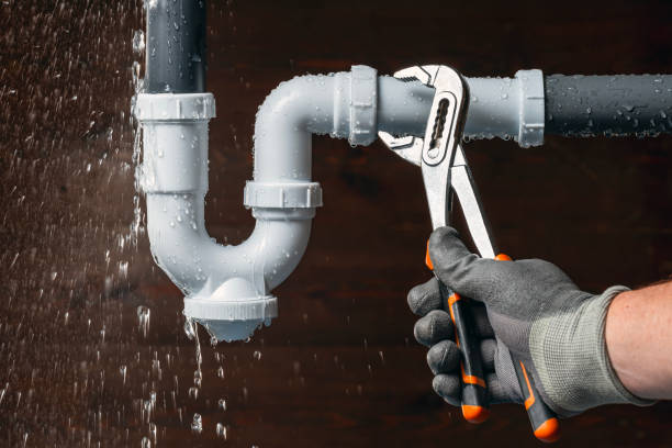 Professional Plumbing technician working in La Follette, TN